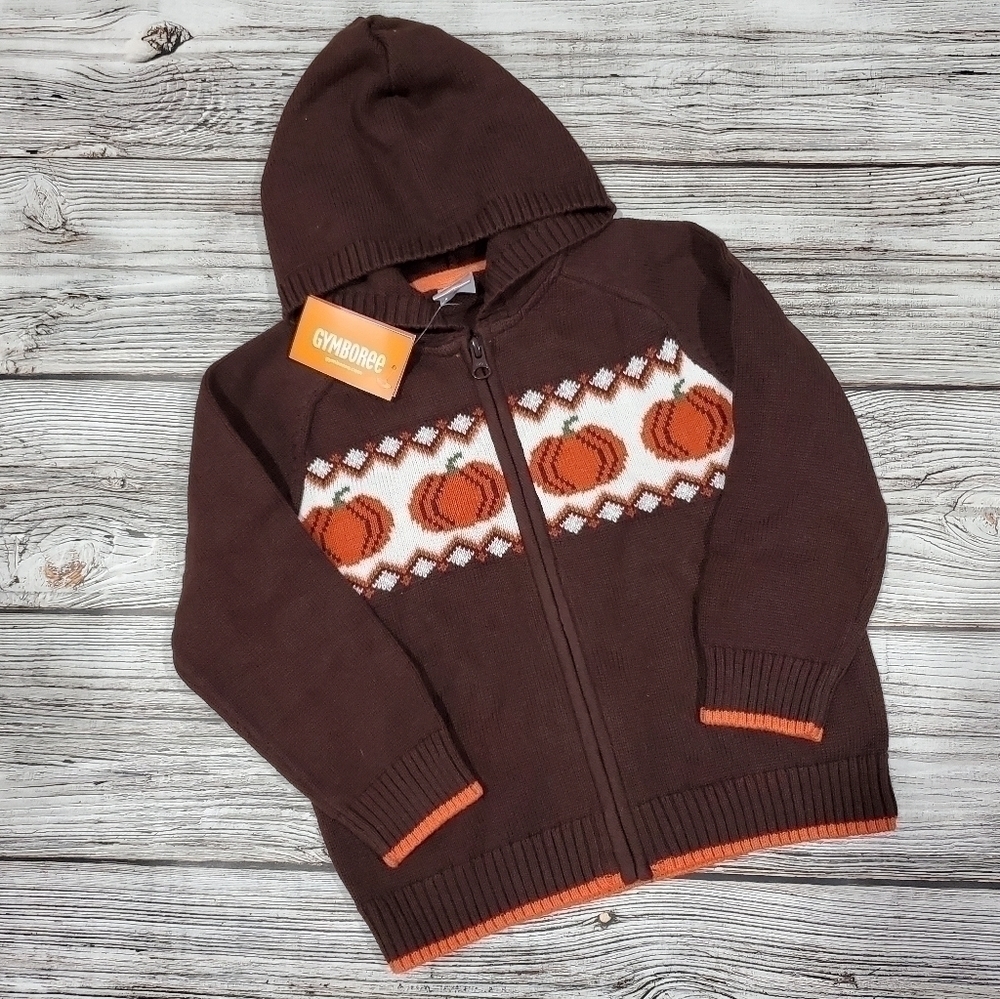 Gymboree Pumpkin Zip Up Hoodie Sweater NWT